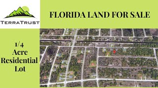 LEHIGH ACRES LAND FOR SALE  1029 Cresthaven St Lehigh Acres FL 33974 [upl. by Konopka136]