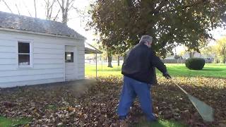 Raking Autumn Leaves [upl. by Anwad242]