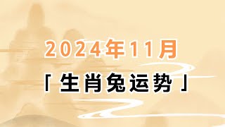 生肖属兔的人2024年11月运势分析 [upl. by Eerac]