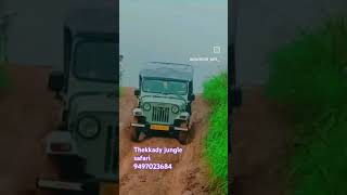 Thekkady jungle jeep Safari [upl. by Catina434]