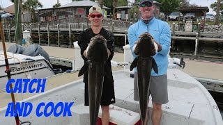 Catch and Cook Cobia  Epic Day Fishing [upl. by Ahsinek]