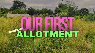 My new allotment plot 🪴 Clearing the plot  overgrown allotment  allotment gardening for beginners [upl. by Leavy354]