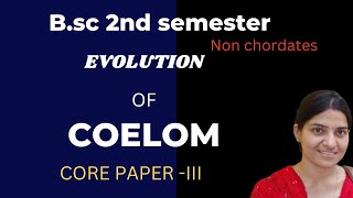 Evolution of coelom BSc 1st yearEvolution of coelom and metamerism BSc zoology gnb zoology [upl. by Eelac]