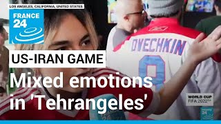 Qatar World Cup Mixed emotions for IranianAmericans as Iran and US meet • FRANCE 24 English [upl. by Sidney]