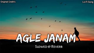 Agle Janam  Original Credit’s  Slowed amp Reverb  LoFi Song  Ovi Nath Ohon [upl. by Wald]