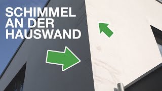 Schimmel und schwarze Flecken an der Hauswand Putzfassade  Fassadenreinigung von Algenmax® [upl. by Ohare]