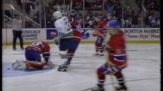 Nelson Emerson Goal Hartford Whalers [upl. by Moffat303]