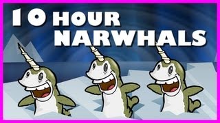 Narwhals  10 Hours [upl. by Hcelemile533]