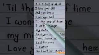 The Jokester song lyrics music [upl. by Arinayed486]