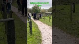 Totnes Rare Breeds Farm Volunteering with my EE crew volunteering ee devon [upl. by Phil927]