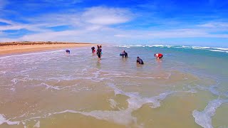 Goolwa Cockling  Catching Goolwa Cockles  South Australia Beaches  Fishing South Australia  Ep15 [upl. by Enomad]