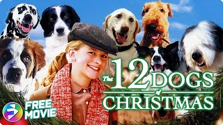 THE 12 DOGS OF CHRISTMAS  Full Family Dog Movie  JordanClaire Green Tom Kemp [upl. by Carrol]