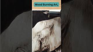 Wood Burning an Elephant [upl. by Eanwahs691]