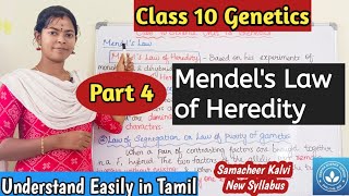 Mendels Law of Heredity Class 10 Science Unit 18 Genetics [upl. by Onez]