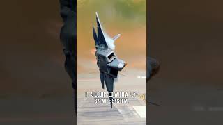 The Insane Reason Why the F22 Raptor Cant Fly Straight [upl. by Ailed939]