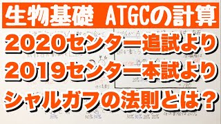 【DNAの塩基ATGCの割合計算問題】2020センター生物基礎追試第1問B問4 2019本試第1問問6より シャルガフの法則語呂合わせ 遺伝子 ゴロ生物基礎 [upl. by Talbott]