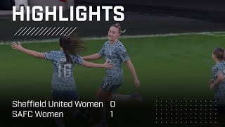 Dale Scores Again  Sheffield Utd Women 0  1 SAFC Women  Barclays Womens Championship Highlights [upl. by Odlaner]