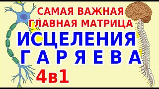 Исцеление по Гаряеву матрица Нервная система Медитация 4в1 с формулами по программе Гаряева № 23 [upl. by Enirehtak952]