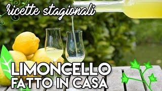 LIMONCELLO fatto in casa ricetta sicilianaricetteflash [upl. by Notse]