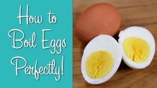 How To Boil Eggs  Perfect Hard Boiled Eggs  Hilah Cooking [upl. by Noicpecnoc]