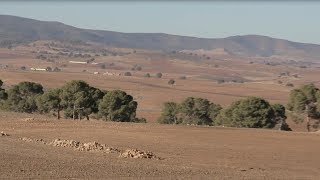 Une Ferme Agricole en ALGERIE [upl. by Mcclenaghan641]