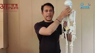 Home Remedies for Orthopedic Problems  Spine Thorax and Cervical Dheeraj K V [upl. by Unity]