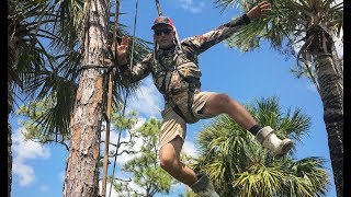 Treestand Safety King Ranch Here We Come [upl. by Aney]