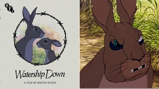 Watership Down 4K UHD Bluray Limited Edition review  BFI [upl. by Stefanie]