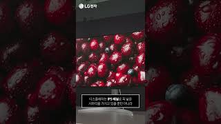 모니터추천 32인치 4K 32UQ850V l LG IPS 윈도우amp맥 모니터 [upl. by Eednus]