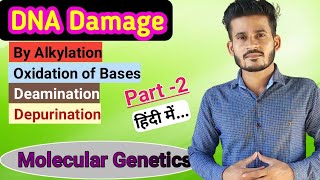 DNA Damage and Repair  Part 2  हिंदी में  MSc  CSIR NET  GATE [upl. by Gerlac]