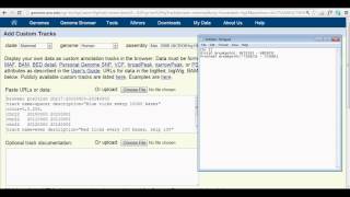 How to Add a Custom Track onto the UCSC Genome Browser [upl. by Alenson172]
