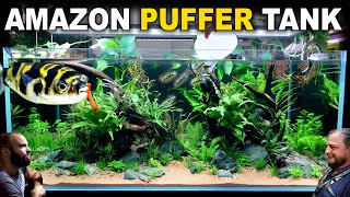 The Amazon Puffer Aquarium 4ft Planted Tank Aquascape Tutorial [upl. by Roselia]