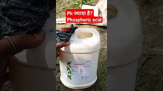 Use of phosphoric acid in ur field gaow sugarcane farming [upl. by Nonnairb589]