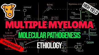 MULTIPLE MYELOMA Etiology Molecular Pathogenesis MGUS and Smoldering myeloma diagnostic criteria [upl. by Liuqnoj]