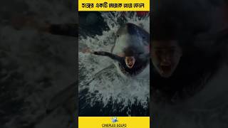 হাঙ্গর একটি মেয়েকে খেয়ে ফেলে Cineplex Golpo movie facts moviefacts shorts [upl. by Laerdna914]