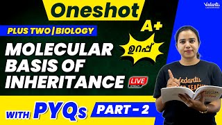 Plus Two Biology Molecular Basis of Inheritance Part 2  One Shot  Kerala Stateboard  CBSE  NEET [upl. by Ramhaj823]