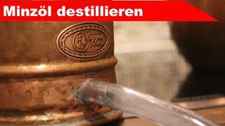 🌷 Minze destillieren 🌻  ätherisches Öl selber machen  diSTILLed [upl. by Harlan52]