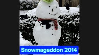 Snowmageddon 2014 [upl. by Meekahs415]