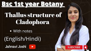 Cladophora Thallus Structure NotesBsc 1st year Botany [upl. by Amehsat831]