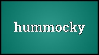 Hummocky Meaning [upl. by Disario]