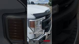 Whipple F350 Work Truck [upl. by Annahsit943]