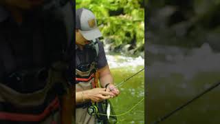 Fly Fishing VS Spinner Cooking on The River Catching Multiple Species of Fish forest river hiking [upl. by Lamprey]