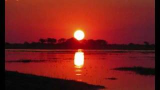 █ █▀ █▀█  African Sundown  Atmospheric Drum amp Bass  Music 2000  Playstation [upl. by Seldun]