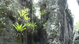 A visit to Floreana Galapagos and the Wittmer Hotel 2010 [upl. by Aenal]