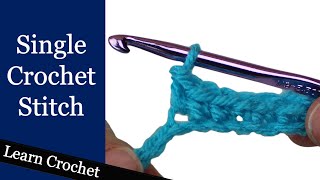 Single Crochet Stitch  Beginner Course Lesson 6 [upl. by Carr60]