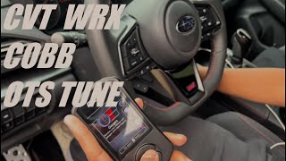 2023 WRX CVT COBB STAGE 1 OTS TUNE  2022wrx 2023wrx cobbtuning [upl. by Atires942]