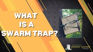 What Is A Swarm Trap  Mountain Sweet Honey [upl. by Nolrak]