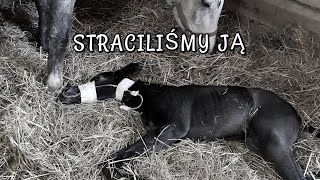 STRACILIŚMY JĄ [upl. by Roley]