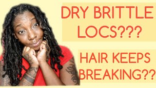 HOW TO NATURALLY MOISTURIZE DRY LOCS when oils and treatments dont work STOPPING BREAKAGE [upl. by Atoel271]