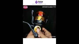 Penn Spinfisher V3500 fishing reel how to take apart and service [upl. by Laram]